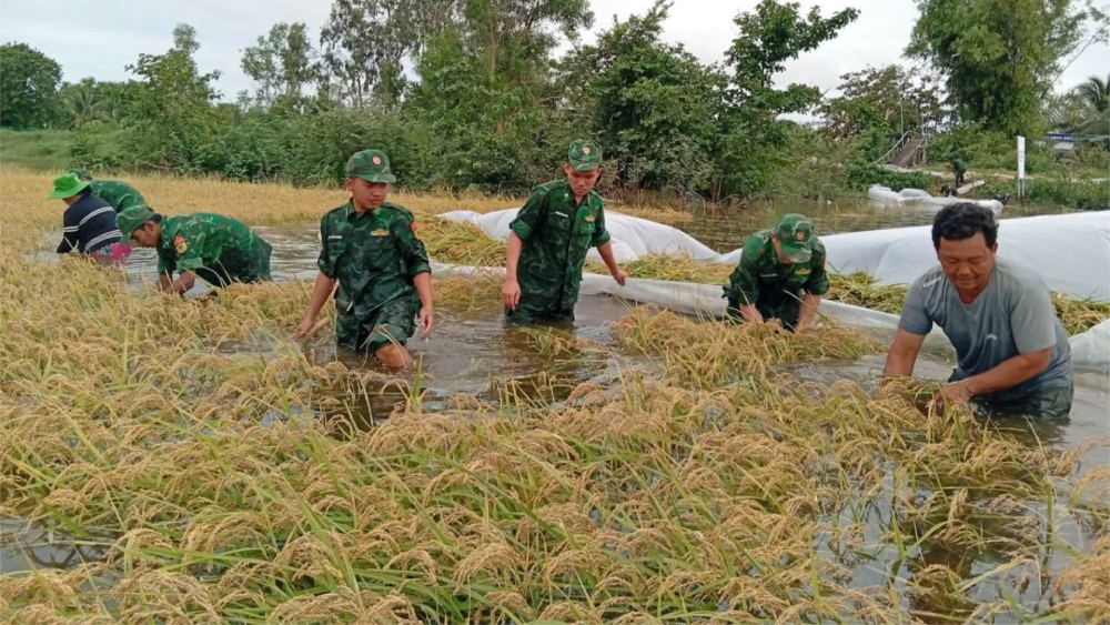 Giúp người dân vùng biên giới thu hoạch lúa, hoa màu, xây dựng phương án ứng phó lũ