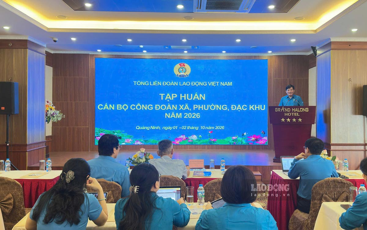 Bồi dưỡng nghiệp vụ cho cán bộ công đoàn xã, phường, đặc khu