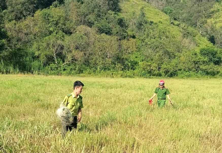 Công an phối hợp Kiểm lâm gỡ bẫy, bảo vệ động vật hoang dã ở Lâm Đồng