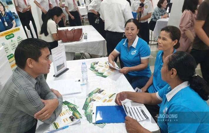 Tháng 9.2026, 45,9% số người tìm việc tại Thủ đô là nhóm lao động 35-54 tuổi. Trong ảnh, lao động trung niên tìm việc tại phiên giao dịch việc làm ngày 27.9. Ảnh: Quỳnh Chi
