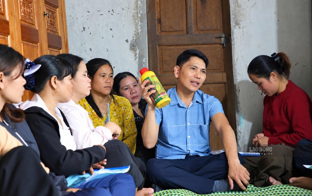 Gà chết mỗi mùa mưa rét, người dân vùng cao La Lay đi học nghề chăn nuôi