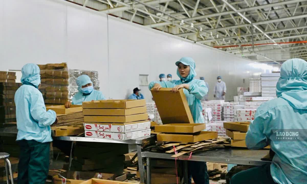 Tây Ninh có hơn 30.200 doanh nghiệp hoạt động, bài toán an toàn lao động thêm cấp thiết. Ảnh: Huỳnh Du ngày 20.8
