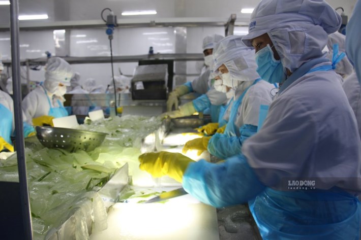Khánh Hòa: 88% lao động nghỉ việc vì lí do cá nhân