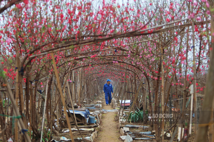 安排9天春节假期,企业为远离家乡的工人提供便利