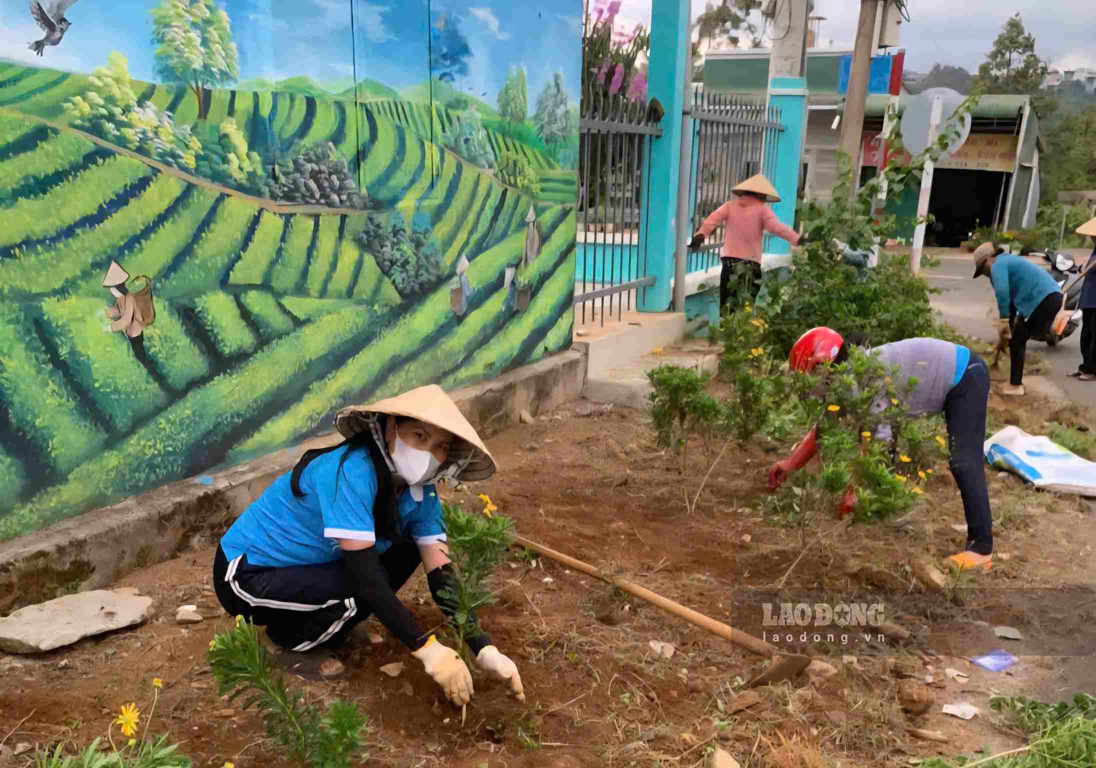 Phụ nữ phường B'Lao tham gia xây dựng cảnh quan môi trường xanh, sạch đẹp. Ảnh: Phúc Khánh