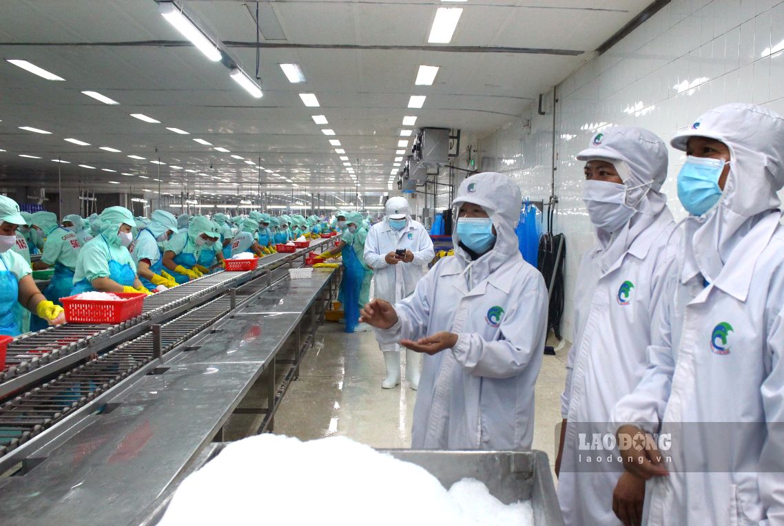 Đoàn công tác LĐ Đ tỉnh Đồng Tháp tham quan khu sản xuất cá xuất khẩu tại Công ty Cổ phần Chế biến và Xuất nhập khẩu Thủy sản Cadovina. Ảnh: Thanh Mai (Ảnh chụp trước thời điểm 1.7.2025)