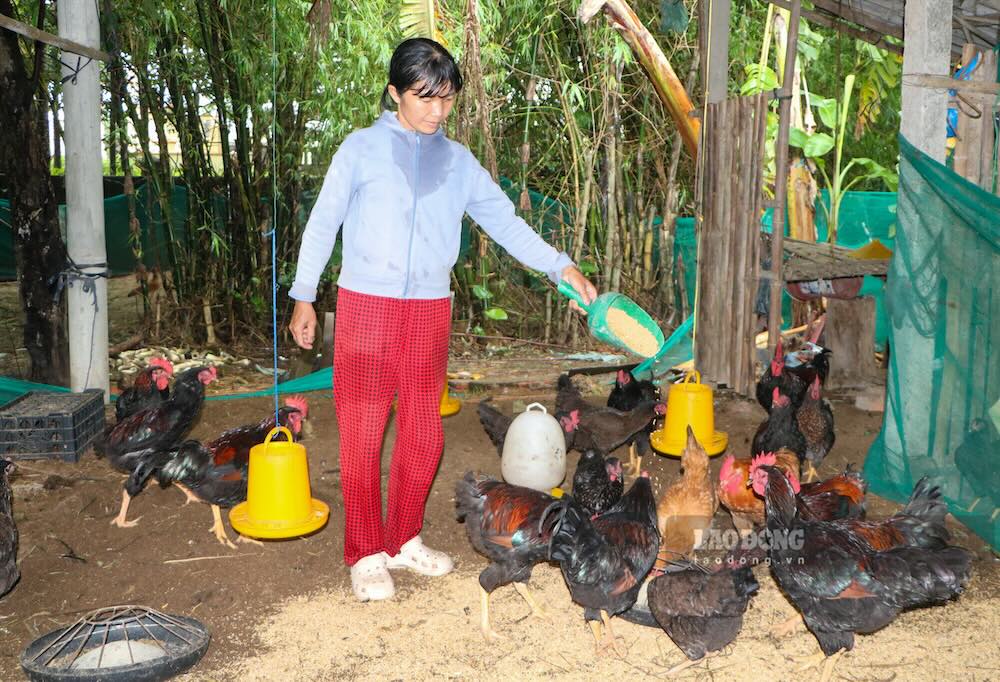 Trieu Binh impulsa la comunicación, abriendo caminos de sustento para hogares en dificultades