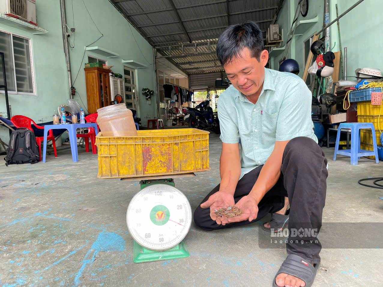 Hàng chục ký đinh, mảnh kim loại nghi do các đối tượng “đinh tặc” rải trên đường được anh Hiệp thu gom. Ảnh: Đình Trọng (chụp tháng 10.2026)