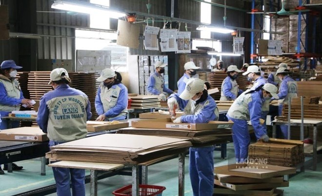 The initiatives of workers have contributed to benefiting businesses, thereby improving income and the lives of union members and workers. Photo: Nguyen Tung