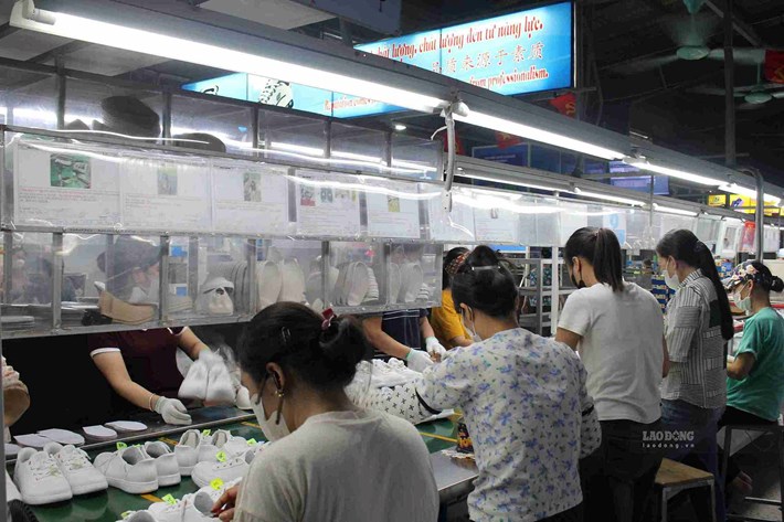 Policy guidance helps workers be more proactive in resolving insurance regimes. Photo: Mai Huong