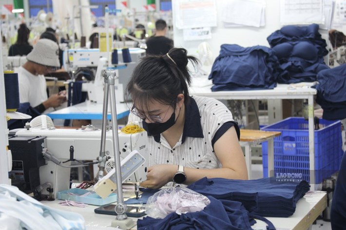 Hung Yen achieves 86.2% of the 2026 job creation plan. Photo: Mai Huong