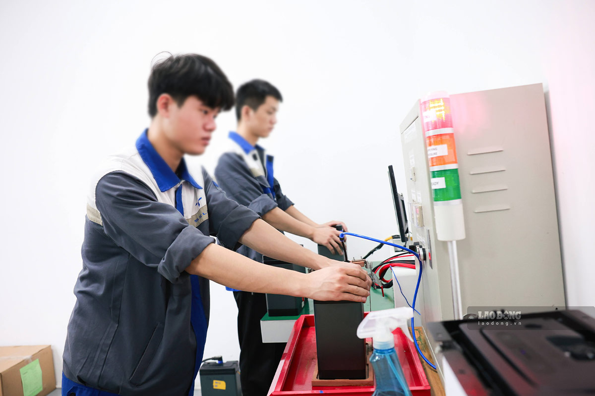 Green employment trend towards sustainable development future