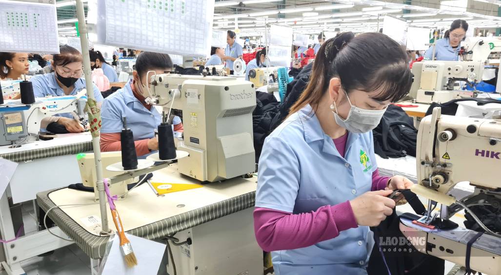 Ca Mau enterprises have difficulty recruiting workers despite paying high salaries