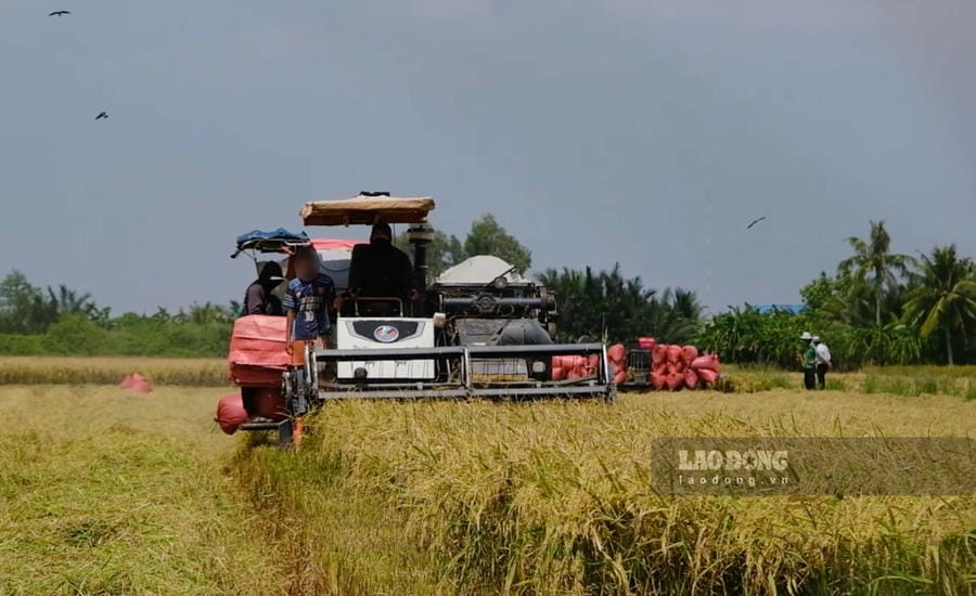 Agricultural workers find it difficult to change careers despite having many jobs