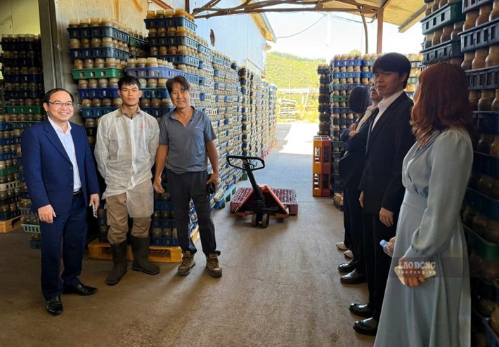 Highland workers have more job opportunities from the seasonal work abroad program. Photo: Thuy Dung