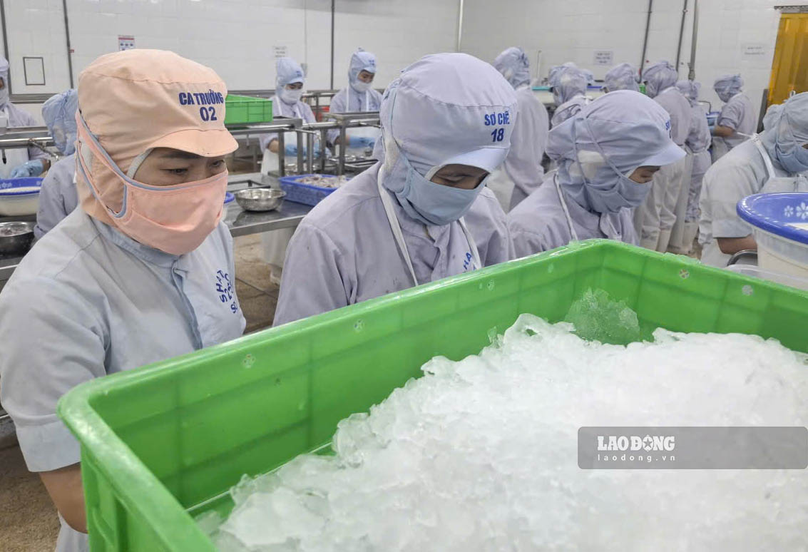 Chị Lành (ngoài cùng bên trái) trong giờ làm việc. Ảnh: Trần Tuấn chụp ngày 3.10