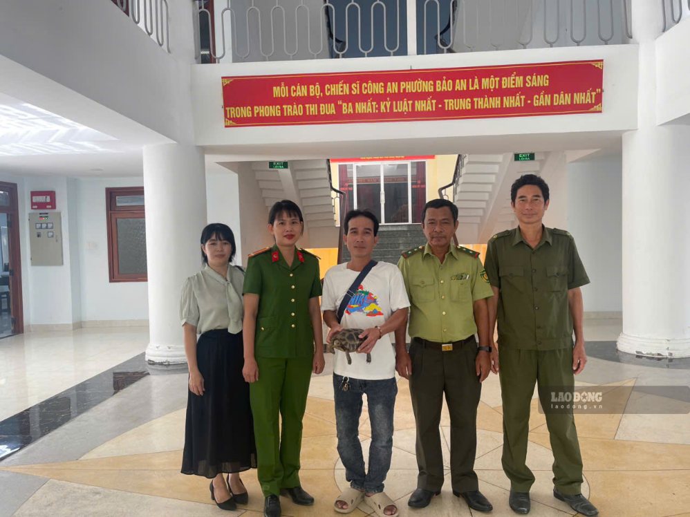 People voluntarily hand over golden mountain turtles to functional agencies