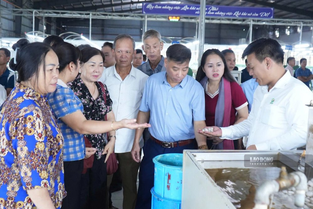 Đoàn công tác Sở Dân tôc - Tôn giáo tỉnh Cao Bằng thăm nhà máy 