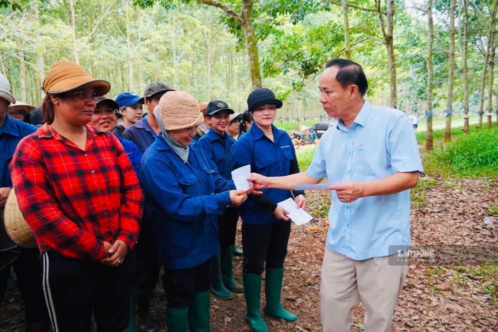 Lãnh đạo Dakruco động viên tinh thần công nhân khai thác mủ ở các nông trường. Ảnh: Bảo Trung