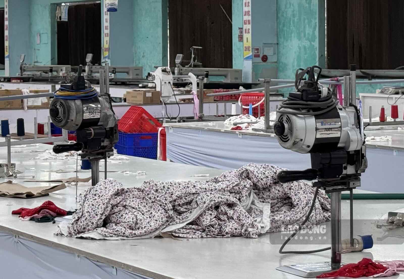 Phía trong nhà xưởng của công ty. Ảnh ghi nhận vào cuối tháng 9.2026: Công Sáng