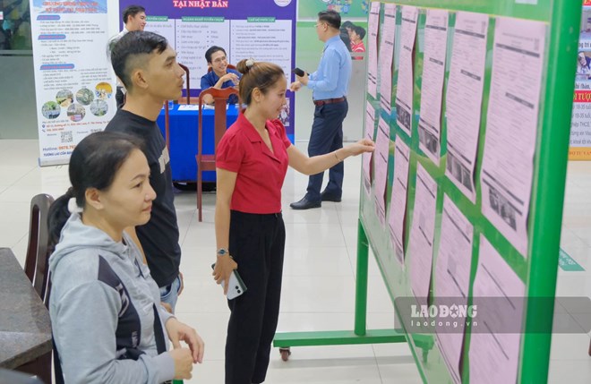 Tuyển dụng cuối năm tăng mạnh, người lao động cảnh giác để bảo vệ quyền lợi