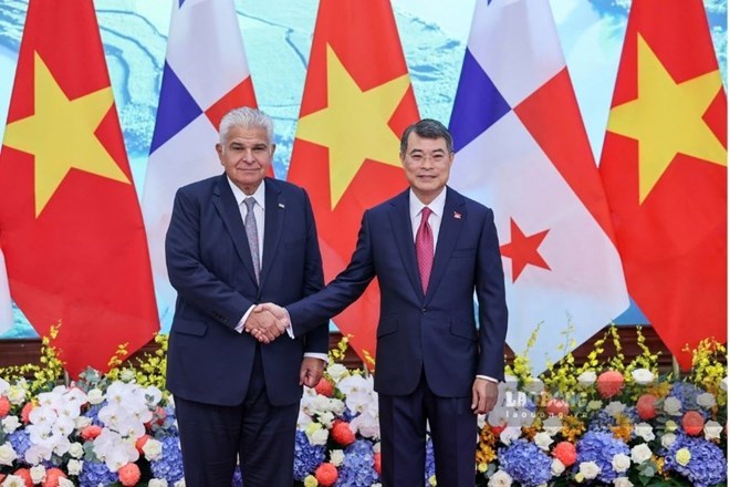 Ủy viên Bộ Chính trị, Thủ tướng Chính phủ Lê Minh Hưng hội kiến Tổng thống Cộng hòa Panama José Raúl Mulino. Ảnh: Hải Nguyễn