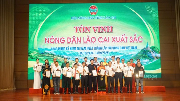 Vinh danh những nông dân góp sức xây dựng nông thôn mới ở Lào Cai. Ảnh: Bảo Nguyên