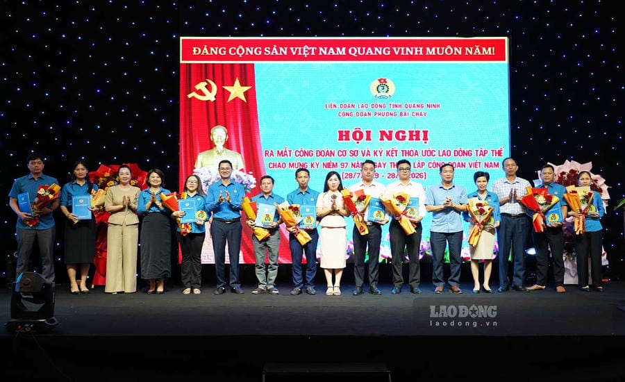 Developing trade unions in areas with many small businesses