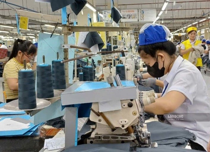 From September 10, 2026, employees who agree with businesses not to participate in compulsory social insurance may be fined up to 1 million VND. Photo: Nam Duong
