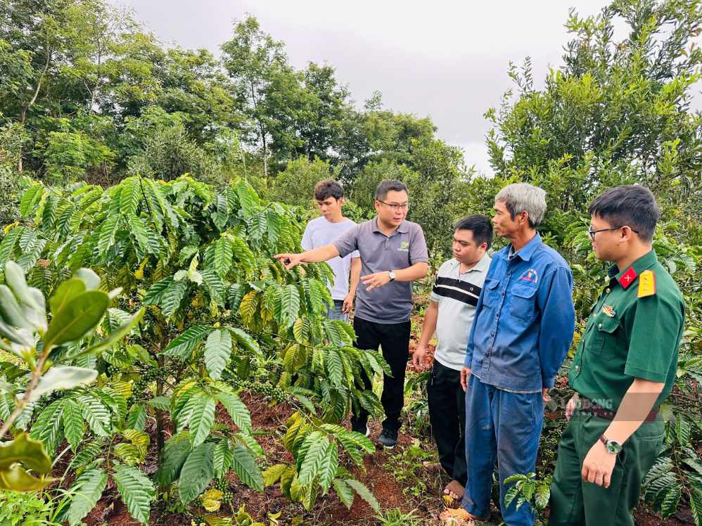 Nearly 200 workers trained in garden care techniques
