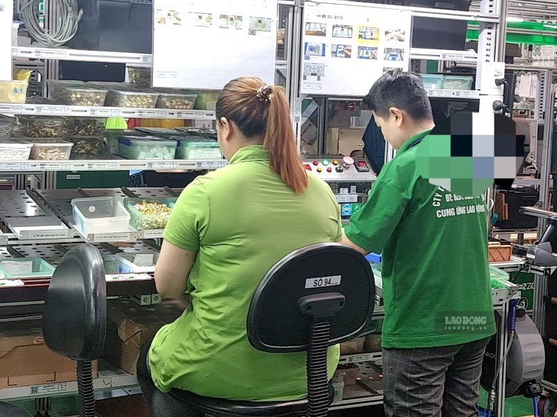 Mức phạt khi trả lương cho người lao động thuê lại thấp hơn người làm cùng công việc