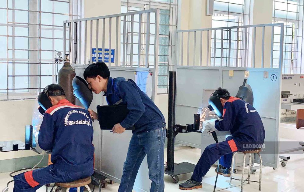 Lợi dụng danh nghĩa dạy nghề, tập nghề để trục lợi bị phạt thế nào?