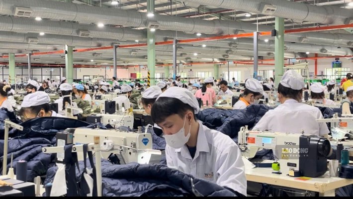 Khánh Hòa dự báo nhu cầu tuyển dụng lao động tăng mạnh trong quý III.2026. Ảnh: Phương Linh