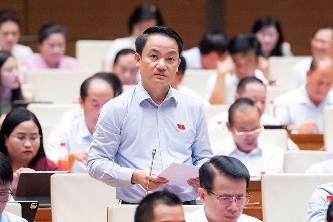 Đại biểu Quốc hội Lê Văn Thế phát biểu sáng 9.8. Ảnh: Media Quốc hội