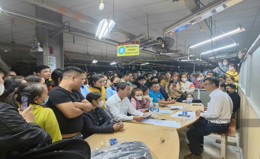 2.662 đơn vị ở Đà Nẵng nợ bảo hiểm hơn 232 tỉ đồng
