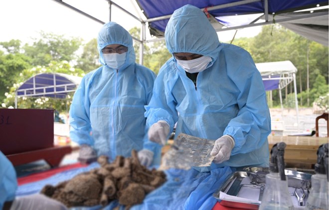 An Giang sẽ có hội thảo để xác minh thông tin hơn 300 liệt sĩ hy sinh ở rừng tràm 800