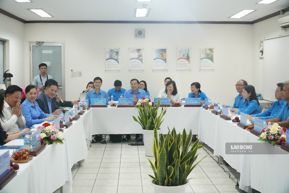 Toàn cảnh buổi làm việc. Ảnh: HAC