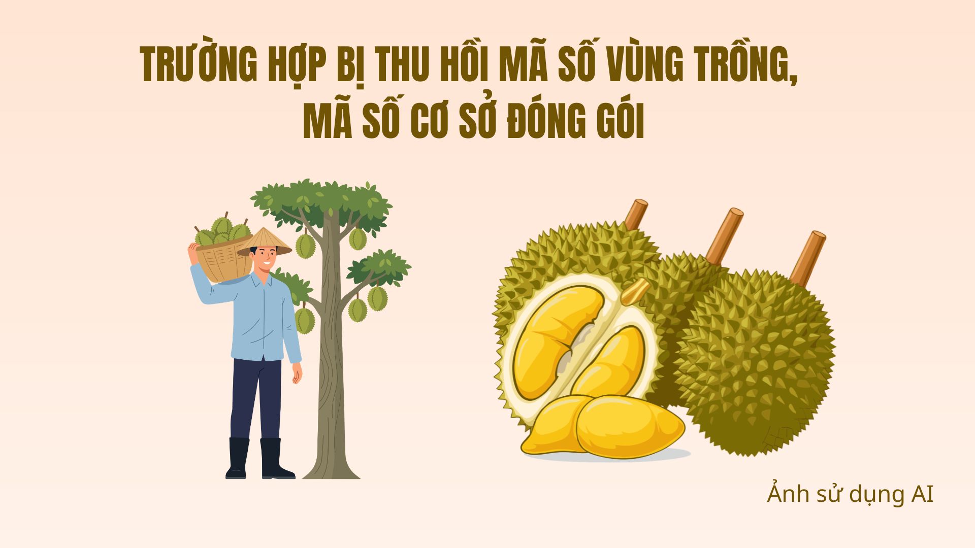 Trường hợp bị thu hồi mã số vùng trồng, mã số cơ sở đóng gói