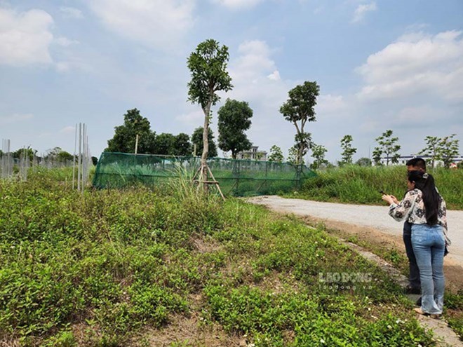 Chính phủ nêu rõ định hướng giá đất do Nhà nước quyết định dựa trên dữ liệu, phương pháp khoa học, công khai, minh bạch. Ảnh: Cao Nguyên