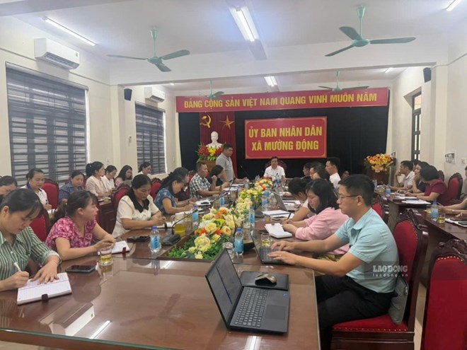 Update on school arrangement plans in Phu Tho