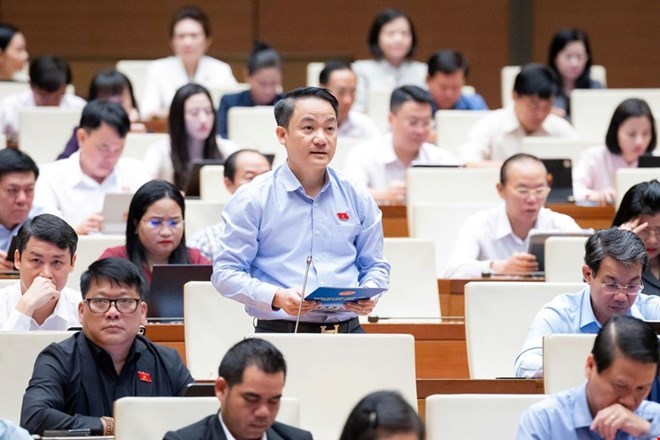Theo đại biểu Lê Văn Thế, việc thu hồi đất cần tránh tạo thửa nhỏ, méo mó, khó tiếp cận. Ảnh: Quochoi.vn
