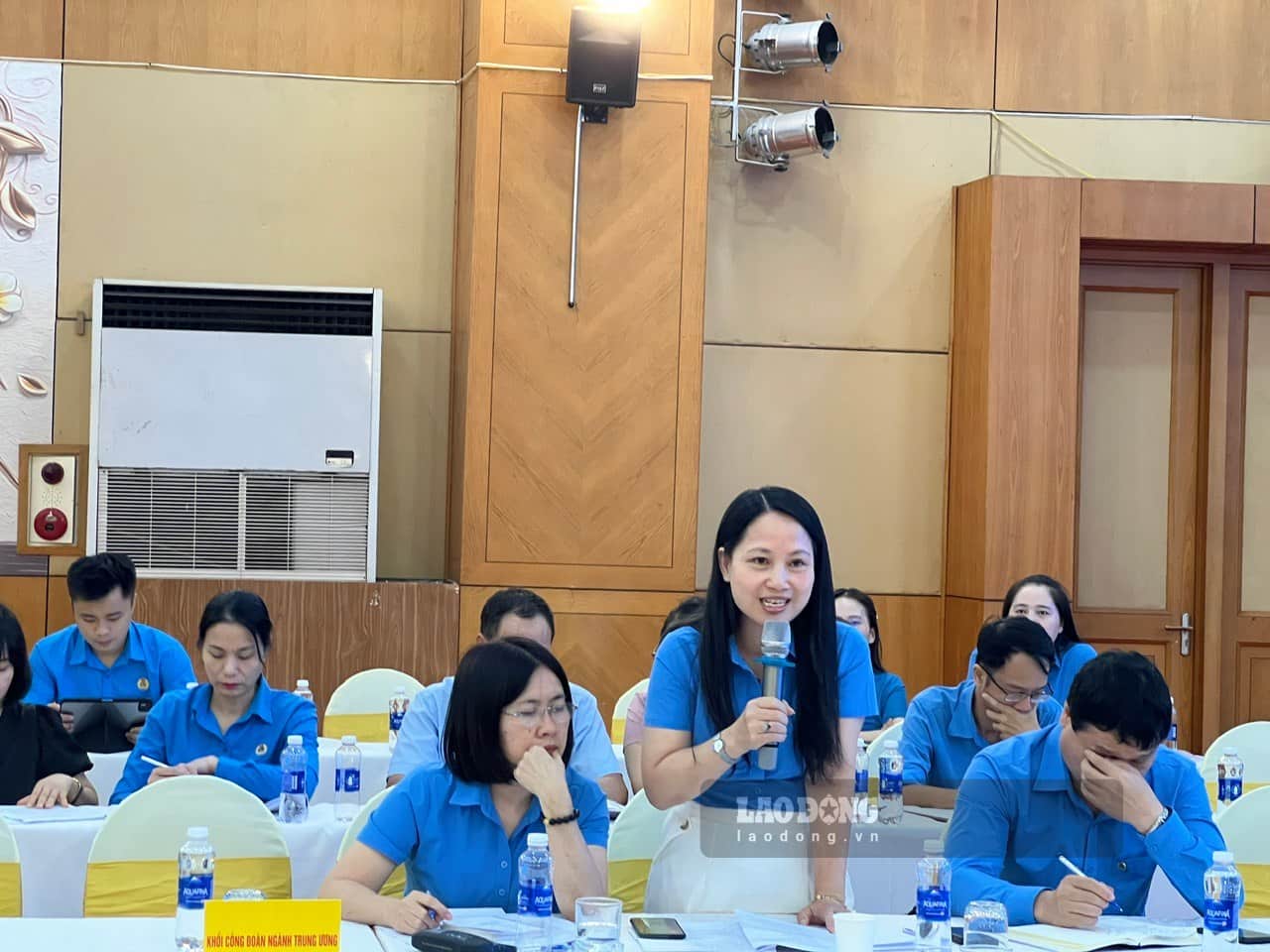 Bà Phan Thị Huệ - Phó Chủ tịch Công đoàn Nông nghiệp và Môi trường Việt Nam 