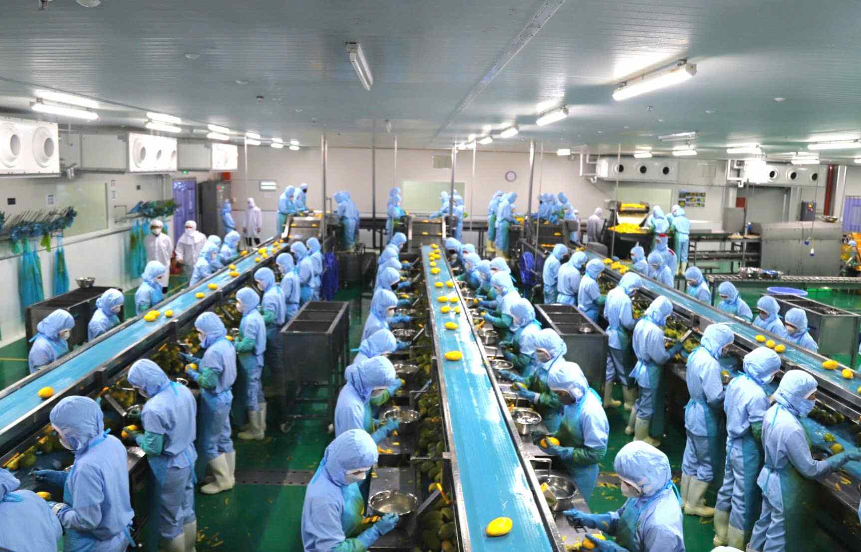 Công ty B’Lao Food là một trong nhưng doanh nghiệp tiên phong trong chuyển đổi số. Ảnh: Phúc Khánh 