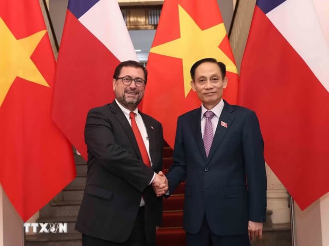 Tạo động lực mới thúc đẩy quan hệ Việt Nam - Chile tiếp tục đi vào chiều sâu