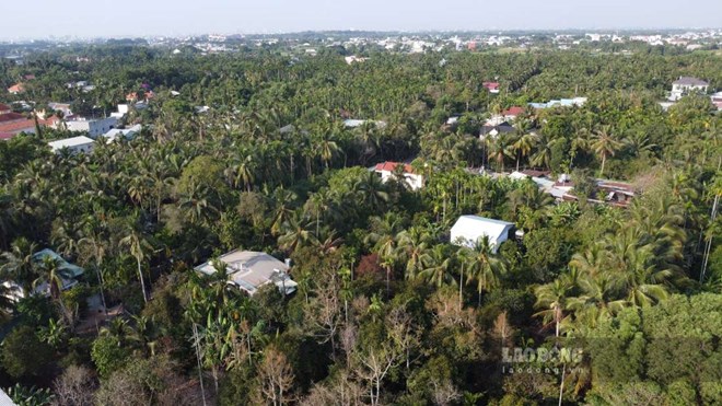 Thêm hai phường ở TPHCM không sáp nhập giai đoạn này