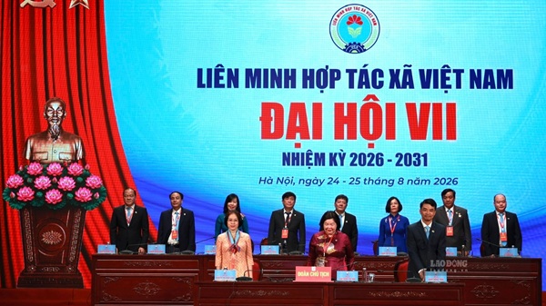 越南合作社联盟创新,加强联系