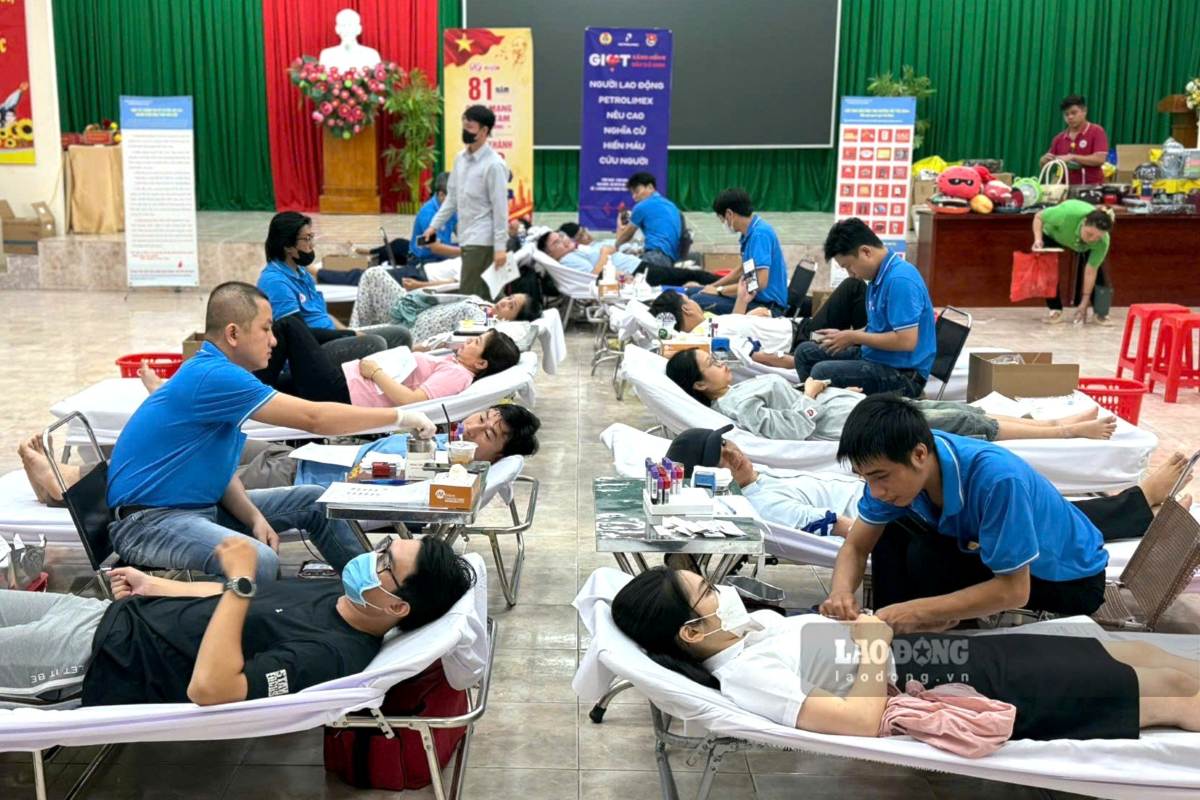 头顿市150多名工人参加志愿献血