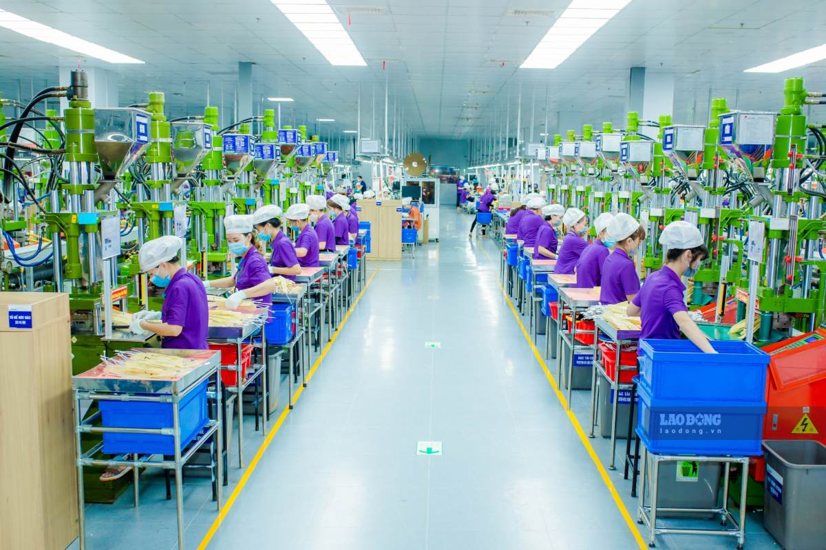 Doanh nghiệp tại Nghệ An cần số lượng lớn lao động phổ thông và lao động có chuyên môn kỹ thuật. Ảnh: Duy Chương