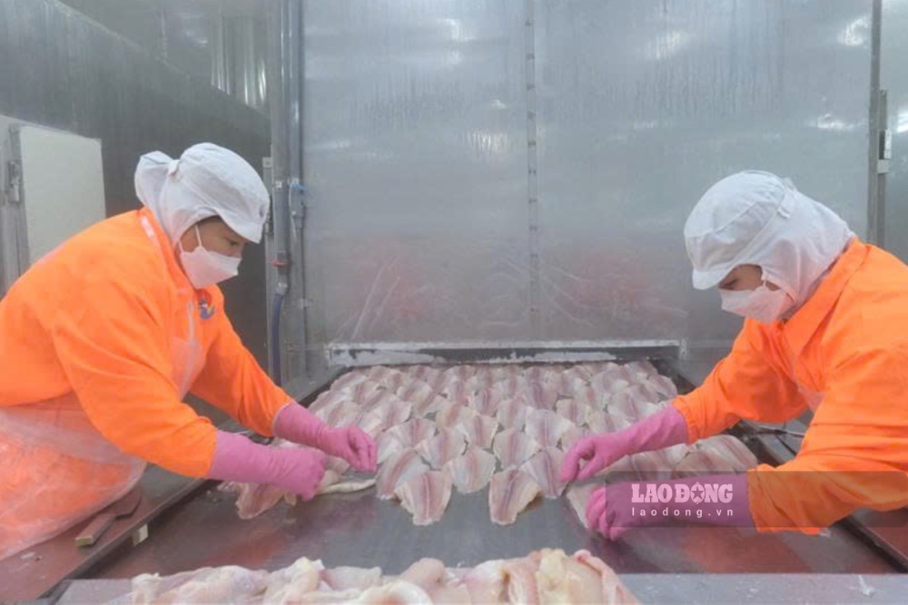 Người lao động tại ĐBSCL tích cực sản xuất. Ảnh: Phong Linh