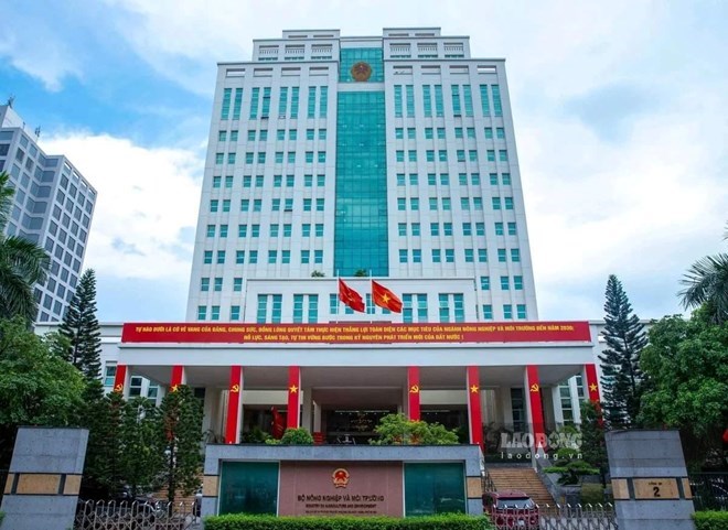 Bộ Nông nghiệp và Môi trường đang tiếp tục rà soát, sắp xếp, bố trí việc làm của công chức, viên chức; hoàn thành việc sắp xếp các đơn vị sự nghiệp. Ảnh: Khương Trung